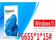 (Windows 11 Version 21H2 (64-bit